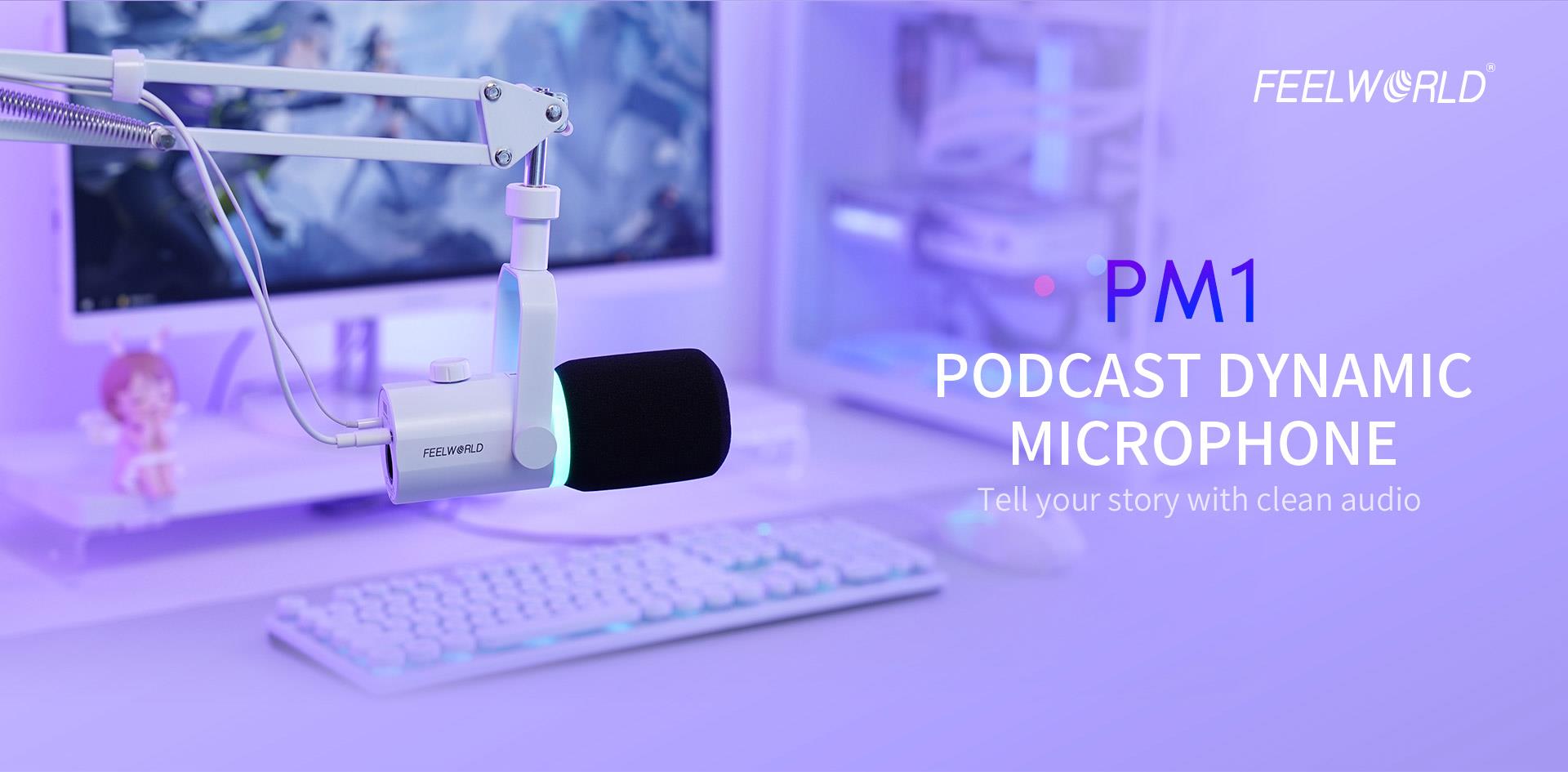 rgb dynamic mic